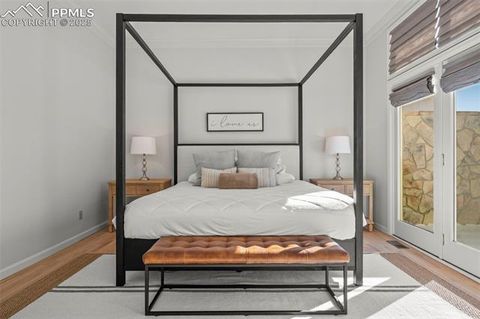 Tiny photo for 2595 Tamora Way, Colorado Springs, CO 80919 (MLS # 9486704)