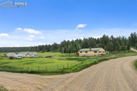 Tiny photo for 6804 County Road 98, Florissant, CO 80816 (MLS # 7309032)