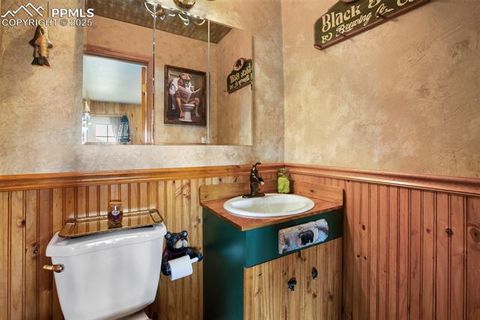 Tiny photo for 6804 County Road 98, Florissant, CO 80816 (MLS # 7309032)