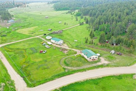 Tiny photo for 6804 County Road 98, Florissant, CO 80816 (MLS # 7309032)