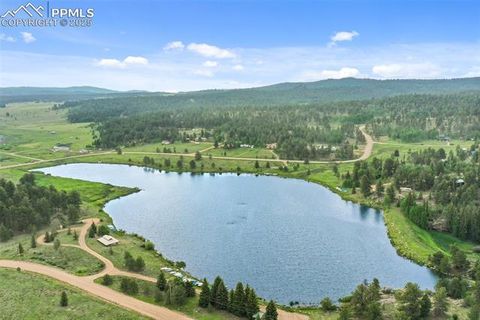 Tiny photo for 6804 County Road 98, Florissant, CO 80816 (MLS # 7309032)
