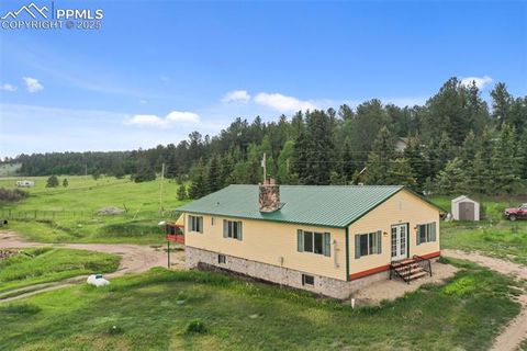Tiny photo for 6804 County Road 98, Florissant, CO 80816 (MLS # 7309032)