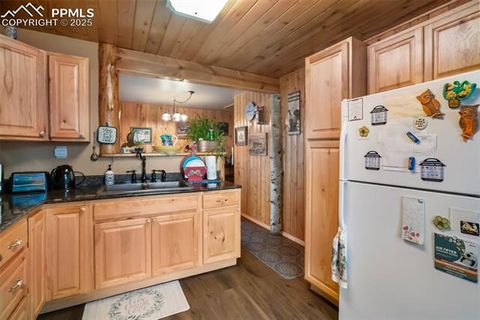 Tiny photo for 6804 County Road 98, Florissant, CO 80816 (MLS # 7309032)