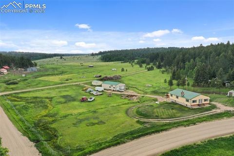 Tiny photo for 6804 County Road 98, Florissant, CO 80816 (MLS # 7309032)