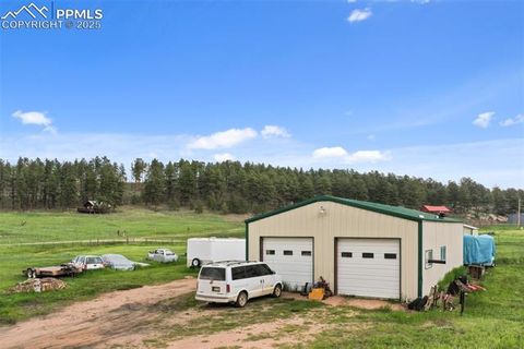 Tiny photo for 6804 County Road 98, Florissant, CO 80816 (MLS # 7309032)