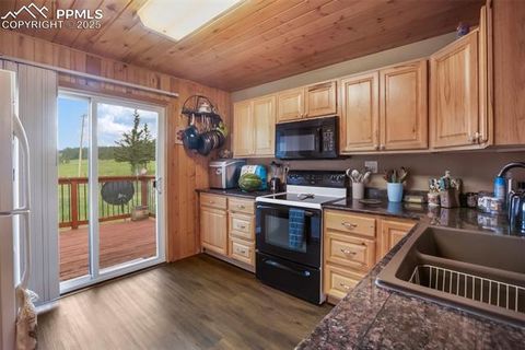 Tiny photo for 6804 County Road 98, Florissant, CO 80816 (MLS # 7309032)