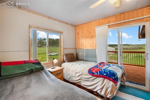 Tiny photo for 6804 County Road 98, Florissant, CO 80816 (MLS # 7309032)