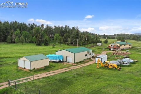 Tiny photo for 6804 County Road 98, Florissant, CO 80816 (MLS # 7309032)