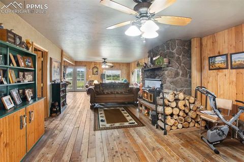 Tiny photo for 6804 County Road 98, Florissant, CO 80816 (MLS # 7309032)