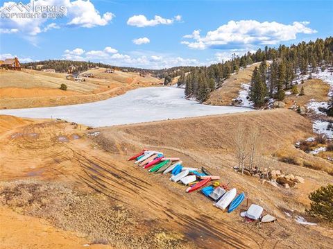 Tiny photo for 367 Cottonwood Lake Drive, Divide, CO 80814 (MLS # 2223511)