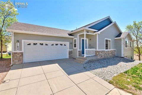11933 Corbu Heights Peyton CO 80831