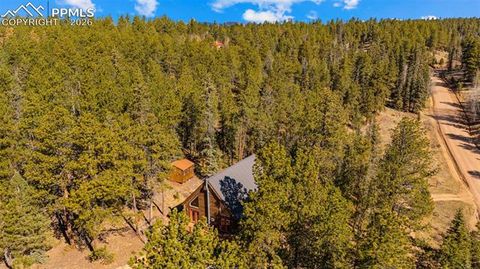 Tiny photo for 1253 E Bison Creek Trail, Divide, CO 80814 (MLS # 7107747)
