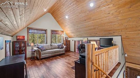 Tiny photo for 1253 E Bison Creek Trail, Divide, CO 80814 (MLS # 7107747)