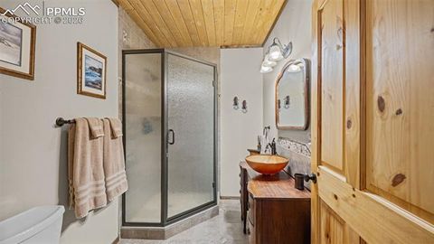 Tiny photo for 1253 E Bison Creek Trail, Divide, CO 80814 (MLS # 7107747)