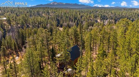 Tiny photo for 1253 E Bison Creek Trail, Divide, CO 80814 (MLS # 7107747)