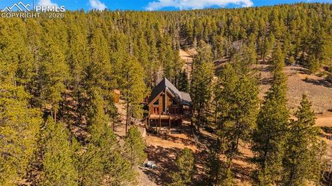 Tiny photo for 1253 E Bison Creek Trail, Divide, CO 80814 (MLS # 7107747)