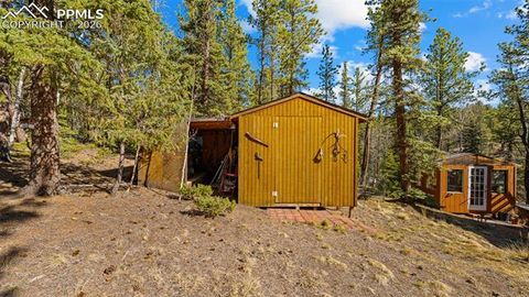 Tiny photo for 1253 E Bison Creek Trail, Divide, CO 80814 (MLS # 7107747)