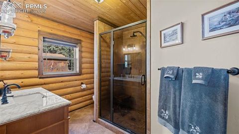 Tiny photo for 1253 E Bison Creek Trail, Divide, CO 80814 (MLS # 7107747)