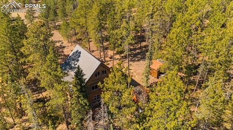 Tiny photo for 1253 E Bison Creek Trail, Divide, CO 80814 (MLS # 7107747)