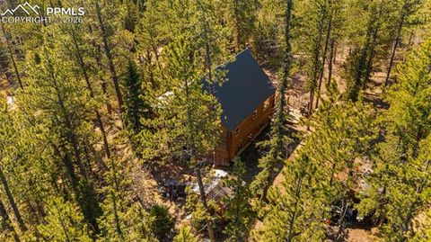 Tiny photo for 1253 E Bison Creek Trail, Divide, CO 80814 (MLS # 7107747)