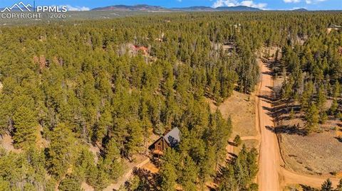 Tiny photo for 1253 E Bison Creek Trail, Divide, CO 80814 (MLS # 7107747)