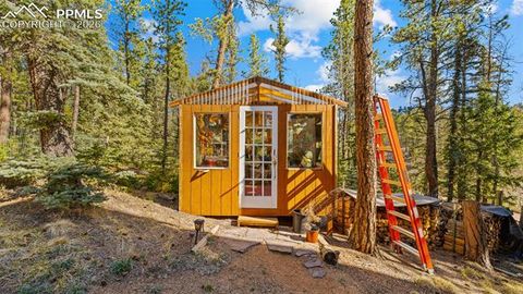 Tiny photo for 1253 E Bison Creek Trail, Divide, CO 80814 (MLS # 7107747)