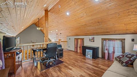 Tiny photo for 1253 E Bison Creek Trail, Divide, CO 80814 (MLS # 7107747)