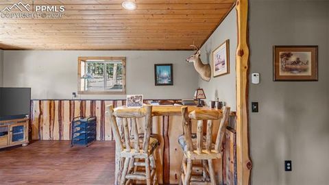 Tiny photo for 1253 E Bison Creek Trail, Divide, CO 80814 (MLS # 7107747)