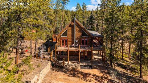 Tiny photo for 1253 E Bison Creek Trail, Divide, CO 80814 (MLS # 7107747)