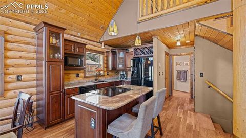 Tiny photo for 1253 E Bison Creek Trail, Divide, CO 80814 (MLS # 7107747)