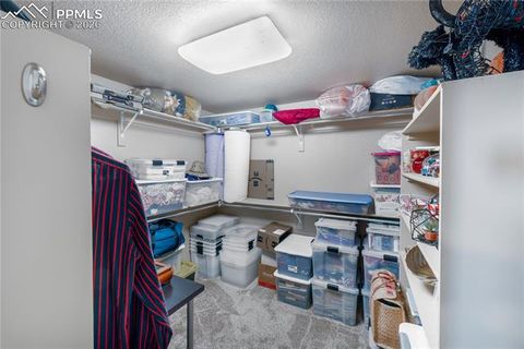 Tiny photo for 3614 Tuscanna Grove, Colorado Springs, CO 80920 (MLS # 8101126)