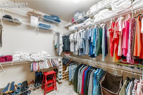 Tiny photo for 3614 Tuscanna Grove, Colorado Springs, CO 80920 (MLS # 8101126)