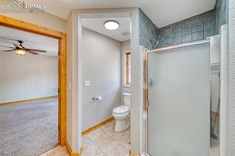 Tiny photo for 318 Southgate Road, Florissant, CO 80816 (MLS # 3787616)