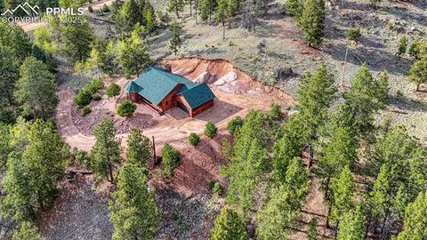 Tiny photo for 318 Southgate Road, Florissant, CO 80816 (MLS # 3787616)