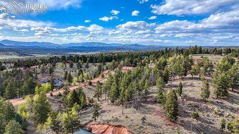 Tiny photo for 318 Southgate Road, Florissant, CO 80816 (MLS # 3787616)