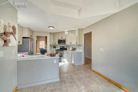 Tiny photo for 318 Southgate Road, Florissant, CO 80816 (MLS # 3787616)