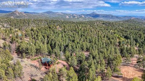 Tiny photo for 318 Southgate Road, Florissant, CO 80816 (MLS # 3787616)