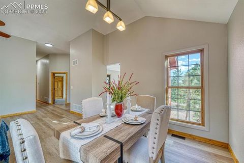 Tiny photo for 318 Southgate Road, Florissant, CO 80816 (MLS # 3787616)