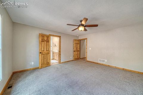 Tiny photo for 318 Southgate Road, Florissant, CO 80816 (MLS # 3787616)