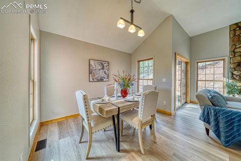 Tiny photo for 318 Southgate Road, Florissant, CO 80816 (MLS # 3787616)