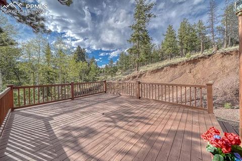 Tiny photo for 318 Southgate Road, Florissant, CO 80816 (MLS # 3787616)