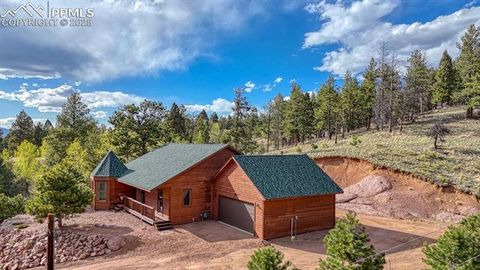 Tiny photo for 318 Southgate Road, Florissant, CO 80816 (MLS # 3787616)