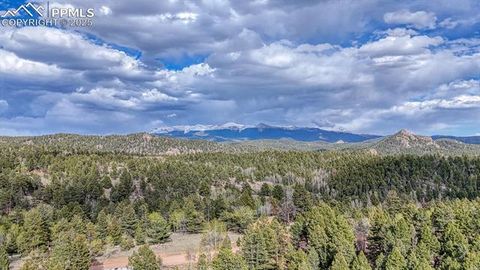Tiny photo for 318 Southgate Road, Florissant, CO 80816 (MLS # 3787616)