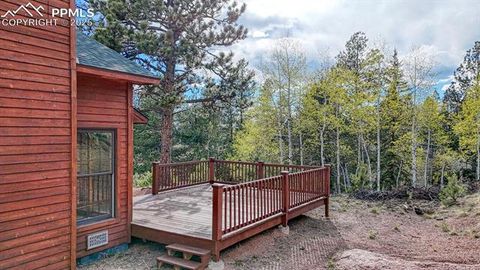 Tiny photo for 318 Southgate Road, Florissant, CO 80816 (MLS # 3787616)
