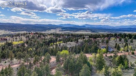 Tiny photo for 318 Southgate Road, Florissant, CO 80816 (MLS # 3787616)