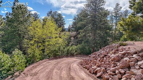 Tiny photo for 318 Southgate Road, Florissant, CO 80816 (MLS # 3787616)