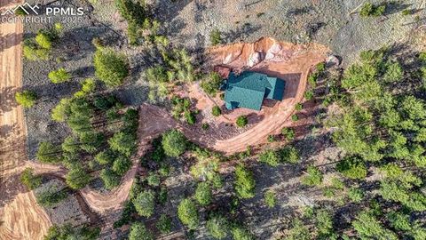 Tiny photo for 318 Southgate Road, Florissant, CO 80816 (MLS # 3787616)