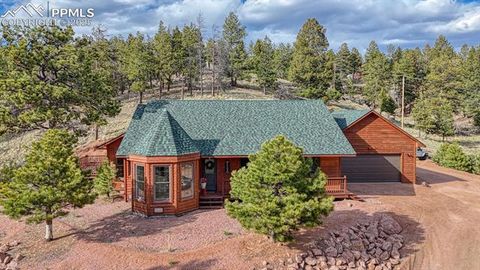 Tiny photo for 318 Southgate Road, Florissant, CO 80816 (MLS # 3787616)
