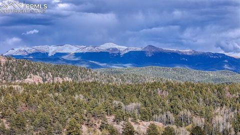 Tiny photo for 318 Southgate Road, Florissant, CO 80816 (MLS # 3787616)