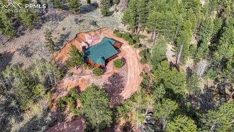 Tiny photo for 318 Southgate Road, Florissant, CO 80816 (MLS # 3787616)